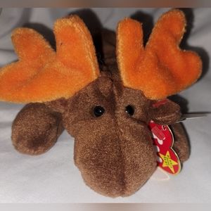 Moose beanie baby